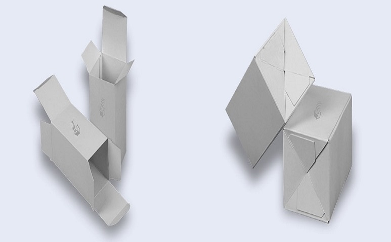 mono carton printing in amritsar